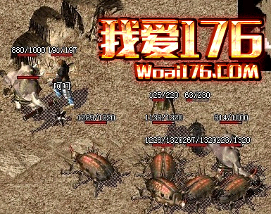 1.76金币传奇击杀白野猪的技巧 1.76金币传奇击杀白野猪的技巧