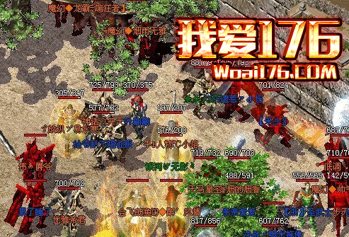 为什么比武场上道士和法师都打不过战士 为什么比武场上道士和法师都打不过战士