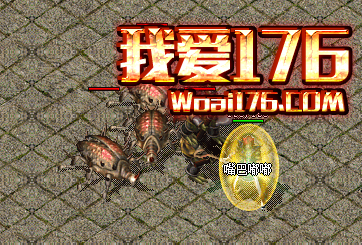 新手村任务 新手村任务
