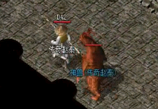 ѡʿӢܹΪҽʡԴ+ܶ