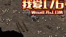 1.76ҴʬɱһЩɷ