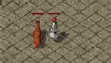 Ҫ1.76Ʒʦ ȵ
