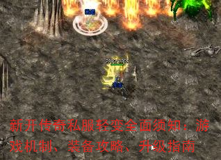 ¿˽ȫ֪Ϸơװԡָ