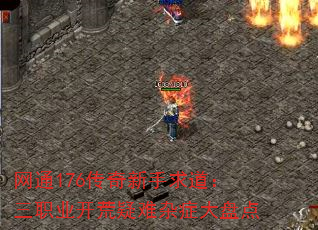 ͨ176ְҵ̵֢
