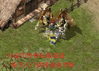 176Ҵ˽ؼŵͨȫ