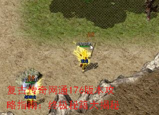 Ŵͨ176汾ָϣռؼ