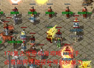 176Ŵ˽ԣֱؿοȼս