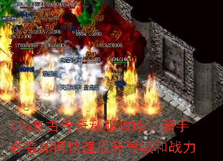 176Ŵ˽ԣֱؿοȼս