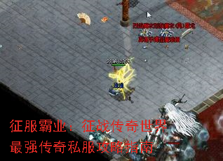 ҵսǿ˽ָ