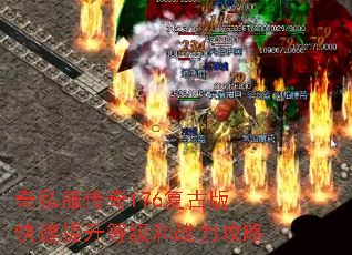 ˽176Űȼս