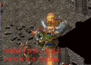 ⣺¿176