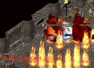 ˽Ź
