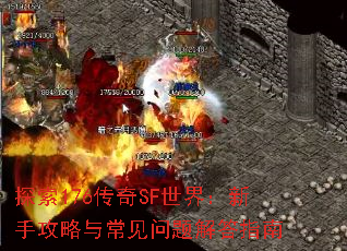 ̽176SF磺ֹ볣ָ