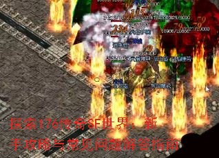 ̽176SF磺ֹ볣ָ