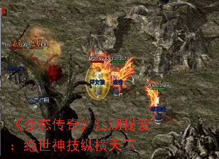 ̬桷ţݺ