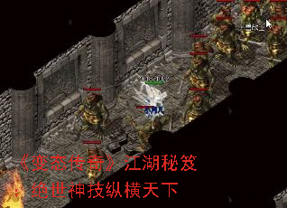 ̬桷ţݺ