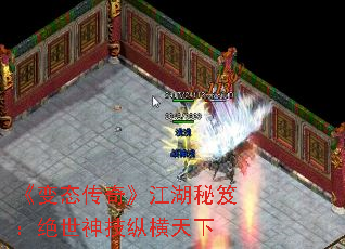̬桷ţݺ