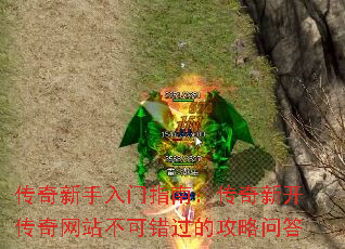 ָϣ¿վɴĹʴ