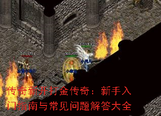 ¿棺ָ볣ȫ