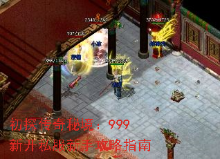 ̽ؾ999¿˽ָֹ
