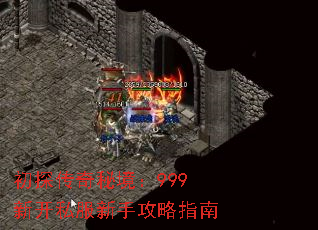 ̽ؾ999¿˽ָֹ