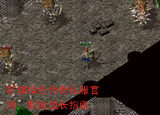 ԯɫ˽ְҵɳָ