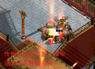 ˽и컹ǰ
