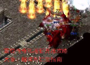 𾪴˽¿Դȫ꾡淨ָ