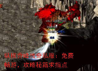 ݺǷ崫˽ѳΣؼָ