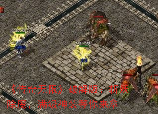 ޡƽ棺նħװ