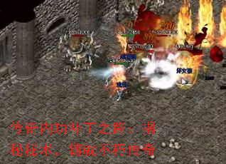 ڹ֮·Ͳഫ