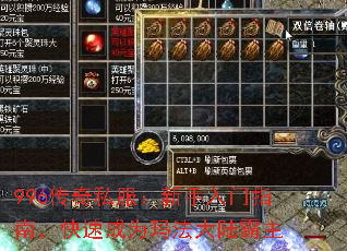 996˽ָϣٳΪ귨½