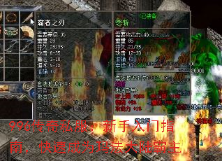 996˽ָϣٳΪ귨½