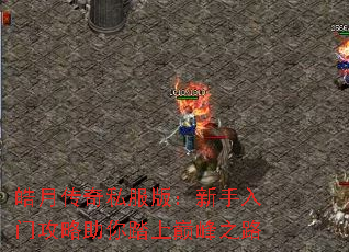 ´˽棺Ź̤۷֮·