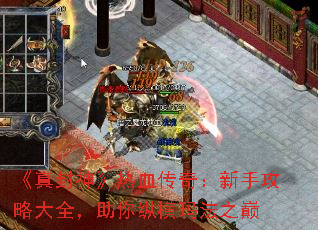 Ѫ棺ֹԴȫݺ귨֮