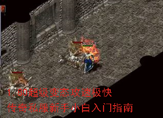 1.80̬ټ촫˽Сָ