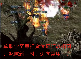 ְҵսָϣִ߳壬򸻼һ