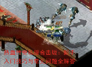 Ѫ˽ϻ棺ż볣ȫ