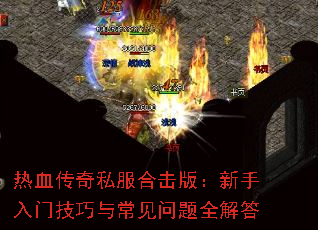 Ѫ˽ϻ棺ż볣ȫ