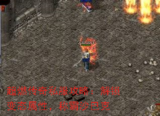 ȼ˽ԣ̬ԣưɳͿ