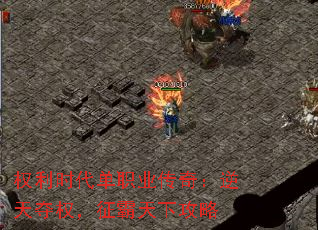 Ȩʱְҵ棺Ȩ¹