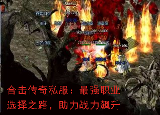 ϻ˽ǿְҵѡ֮·ս