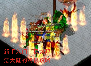 ţ̽귨½ռ