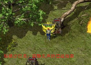ݺɳͿˣžսָ
