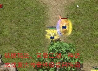 ݺ귨ЦǸŴռָ