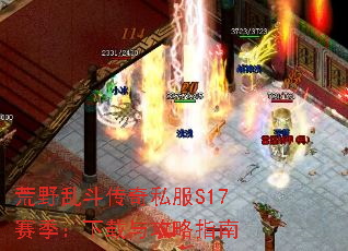 ҰҶ˽S17빥ָ