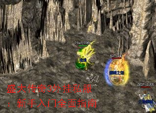 ʢ3˽ȫָ