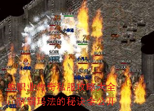ְҵ˽Դȫư귨ؾȫ