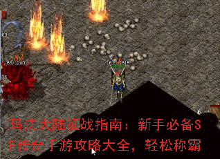 귨½սָϣֱرSFιԴȫɳư