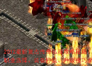 2012¸Ŵ˽ؼְҵѡװ졢ȫ